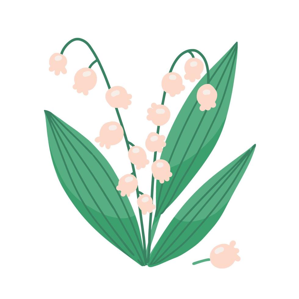 lirio de los valles - sola flor aislada. ilustración vectorial plana dibujada a mano aislada sobre fondo blanco. vector