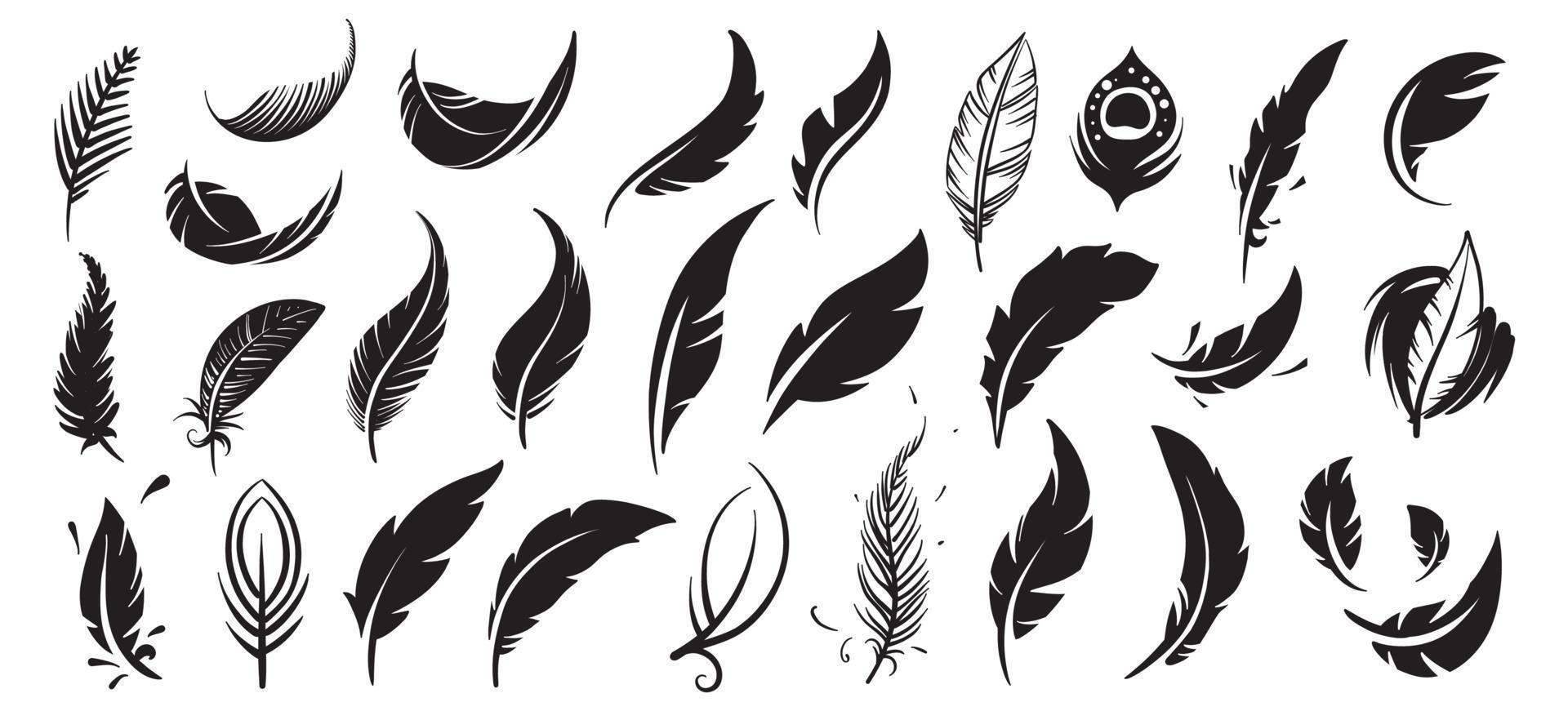 A set of drawn vector bird feathers