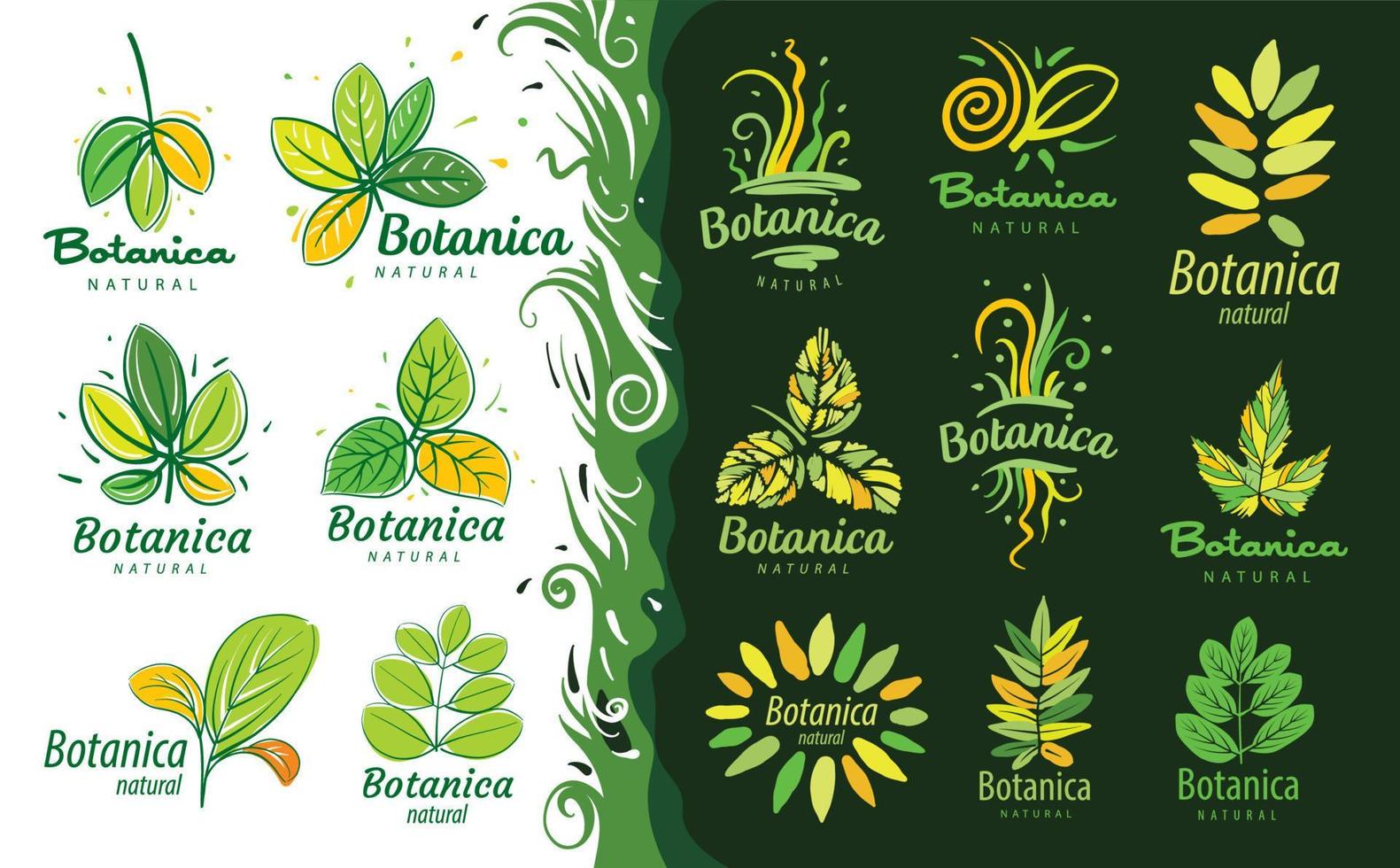 A set of logos with the inscription Botanica and painted leaves vector