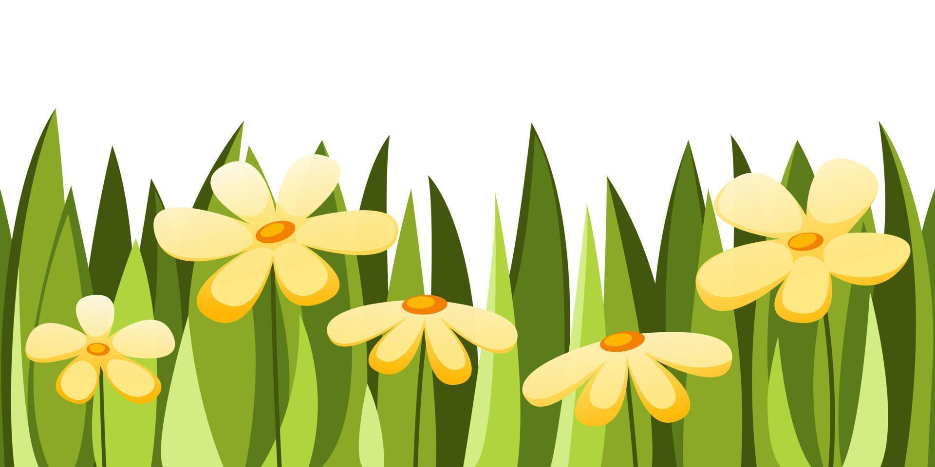 Seamless green grass with yellow wildflowers. Vector horizontal plant pattern.
