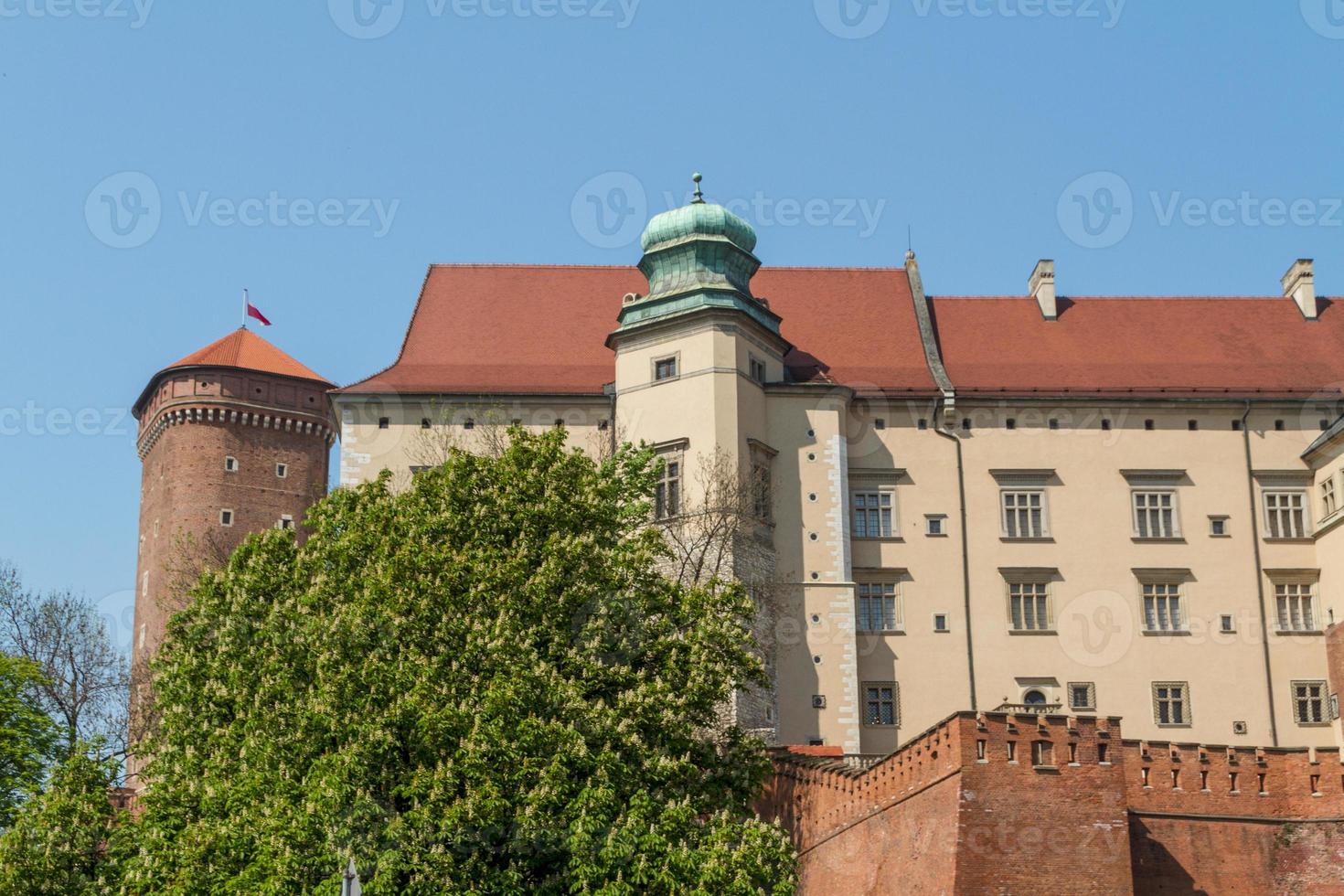 Royal castle in Wawel, Krakow photo