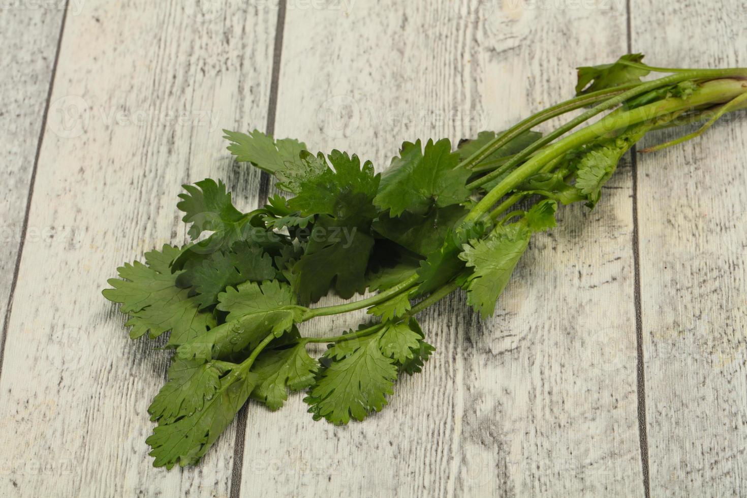 Fresh ripe Green cilantro leaves 7840413 Stock Photo at Vecteezy