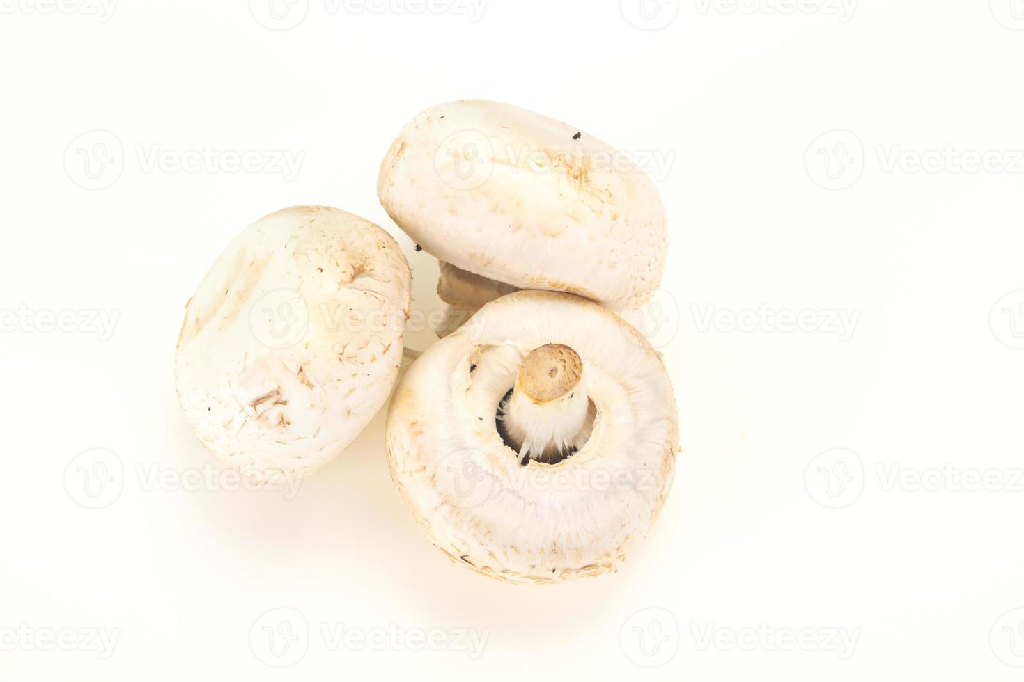 Raw Champignon heap for cooking photo
