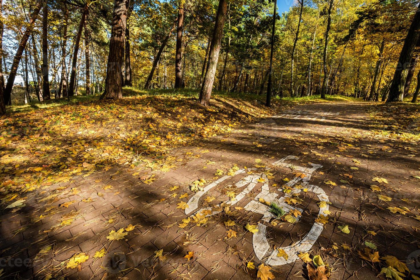 Bike road sign in a park on autumn photo