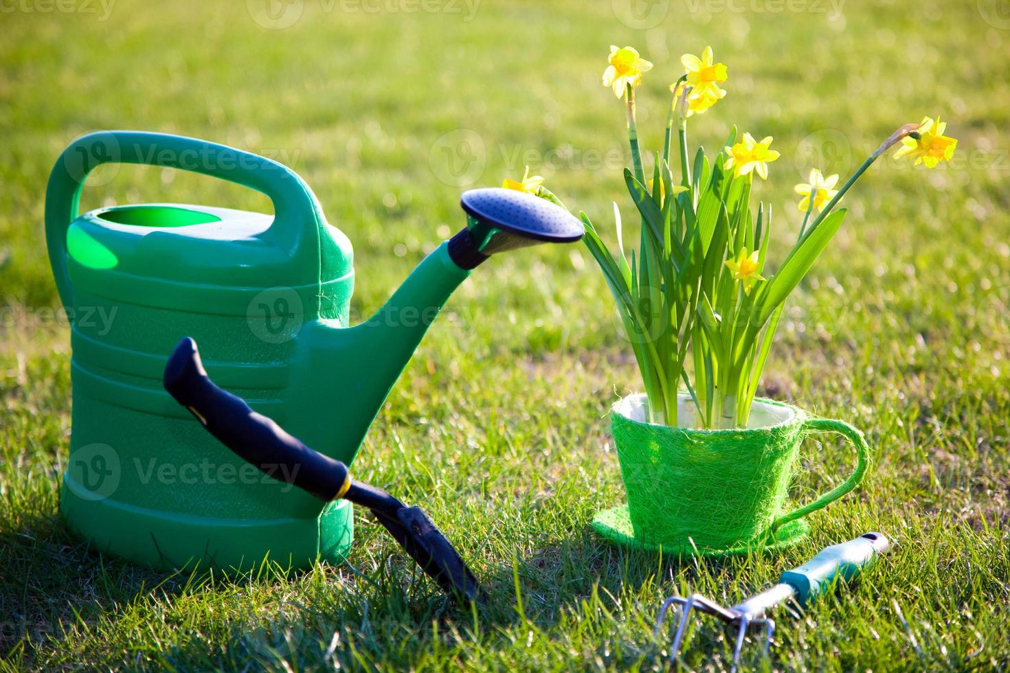 Gardening tools and flowers photo