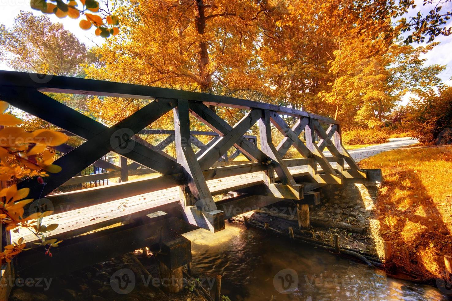 Autumn park bridge photo