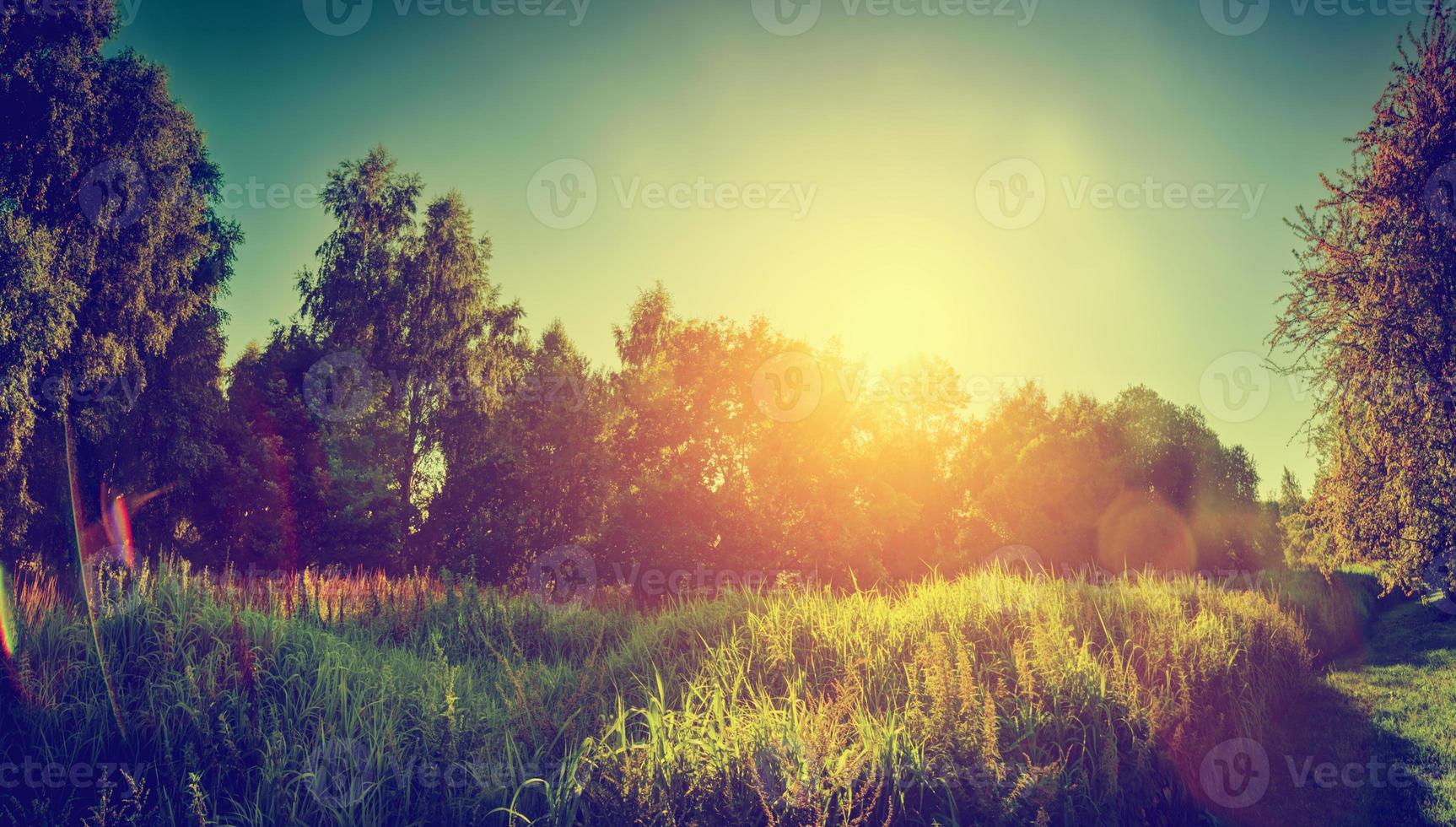 Green sunny landscape, countryside panorama. Vintage photo