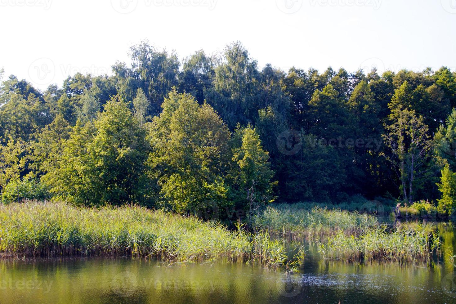 view of the beautiful river and forest photo