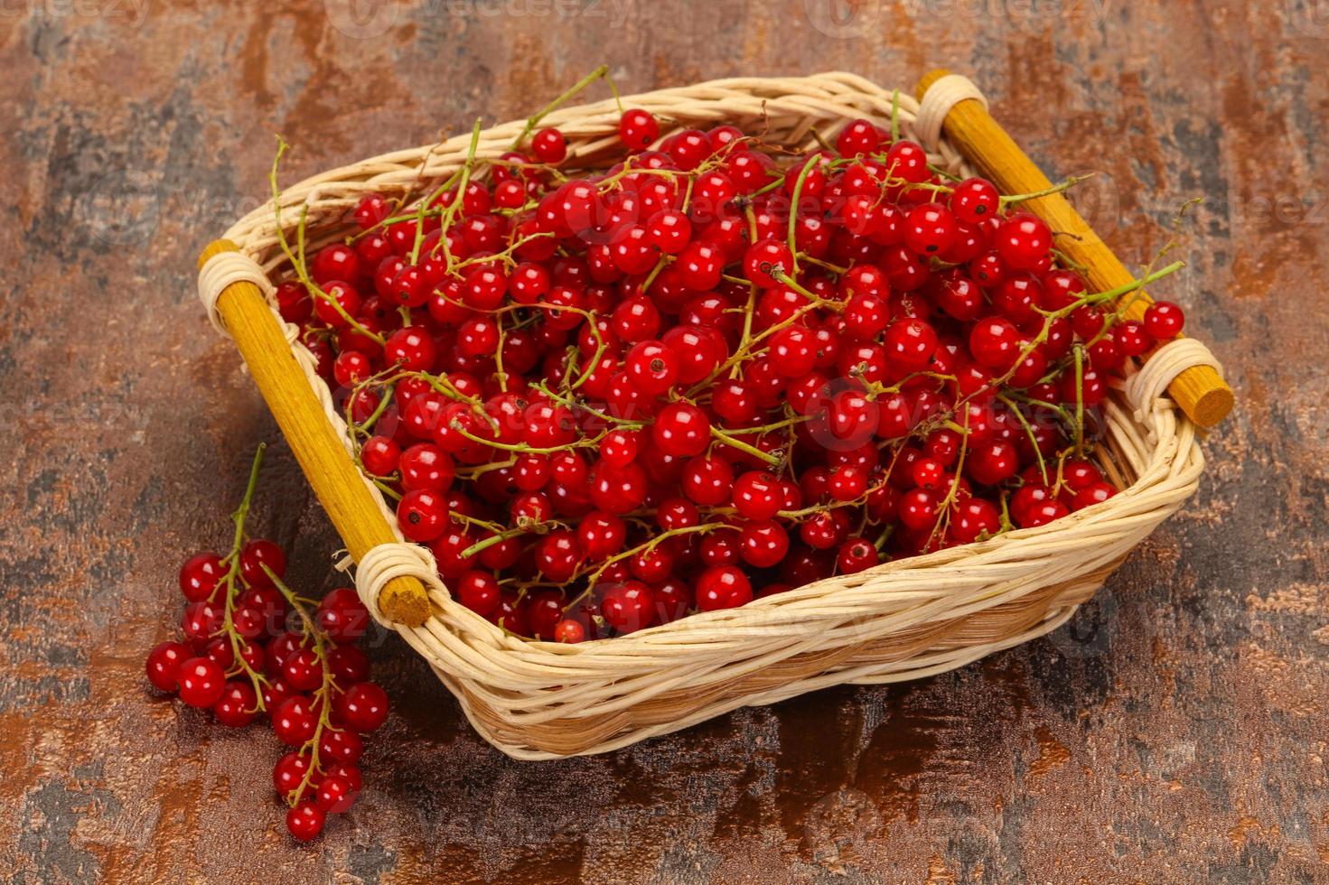 Sweet tasty fresh Red currant photo
