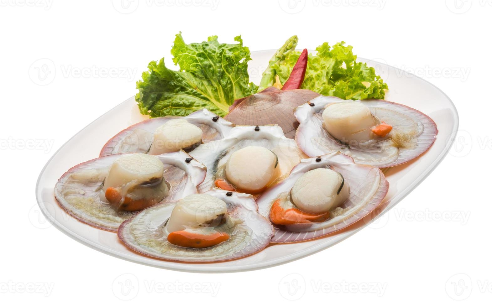 Raw fresh scallop photo