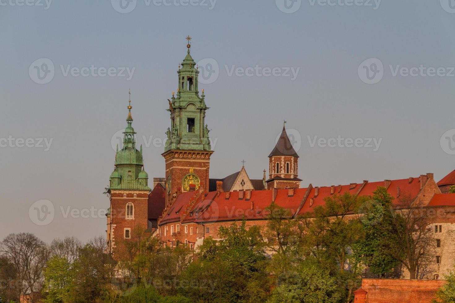Royal castle in Wawel, Krarow photo