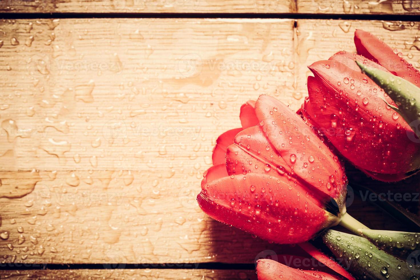 Fresh red tulip flowers bouquet on wood. Wet, morning dew. photo