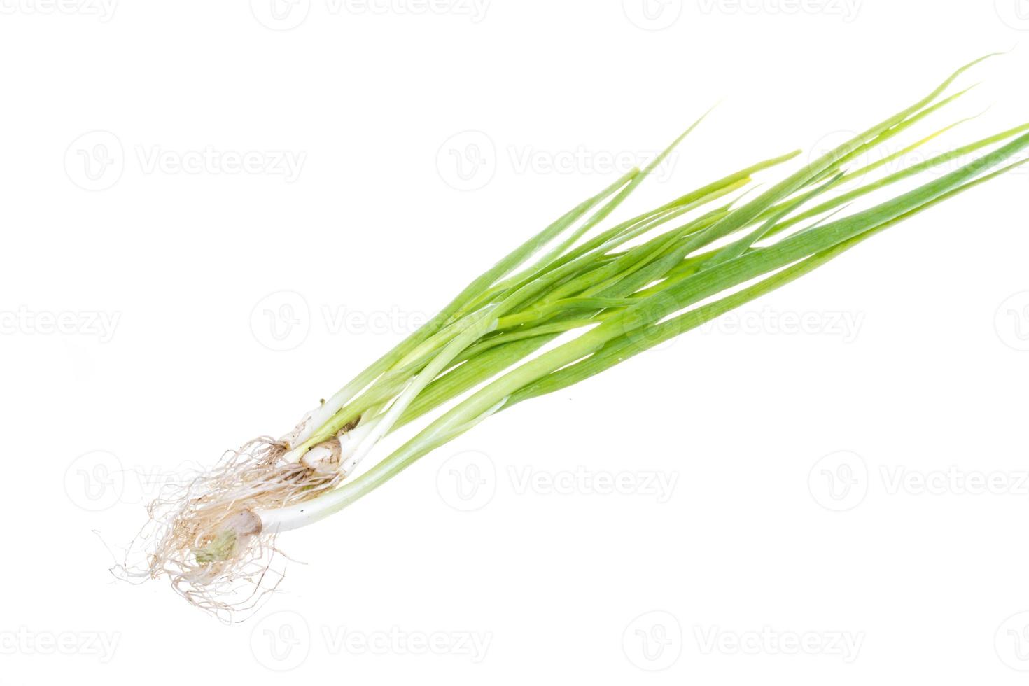 Green Onion on white background photo