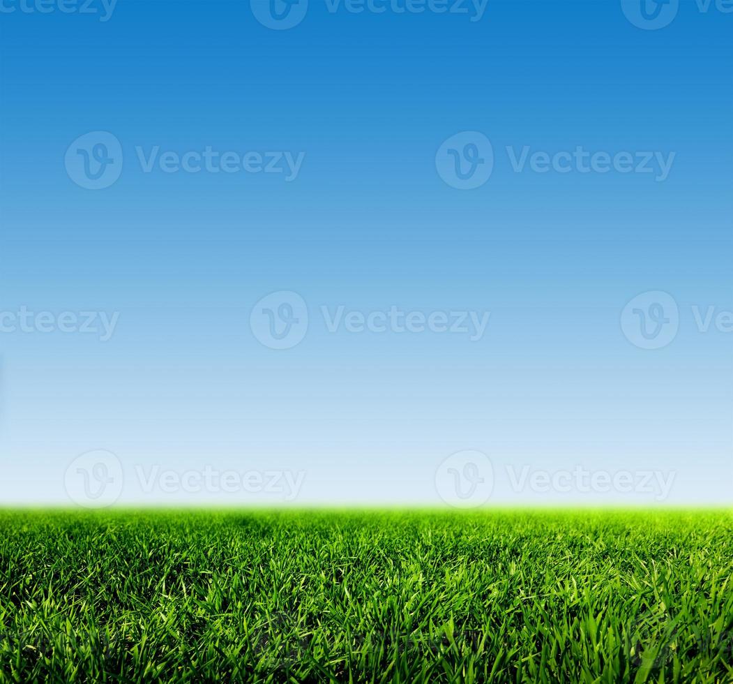 Blue sky and grass photo