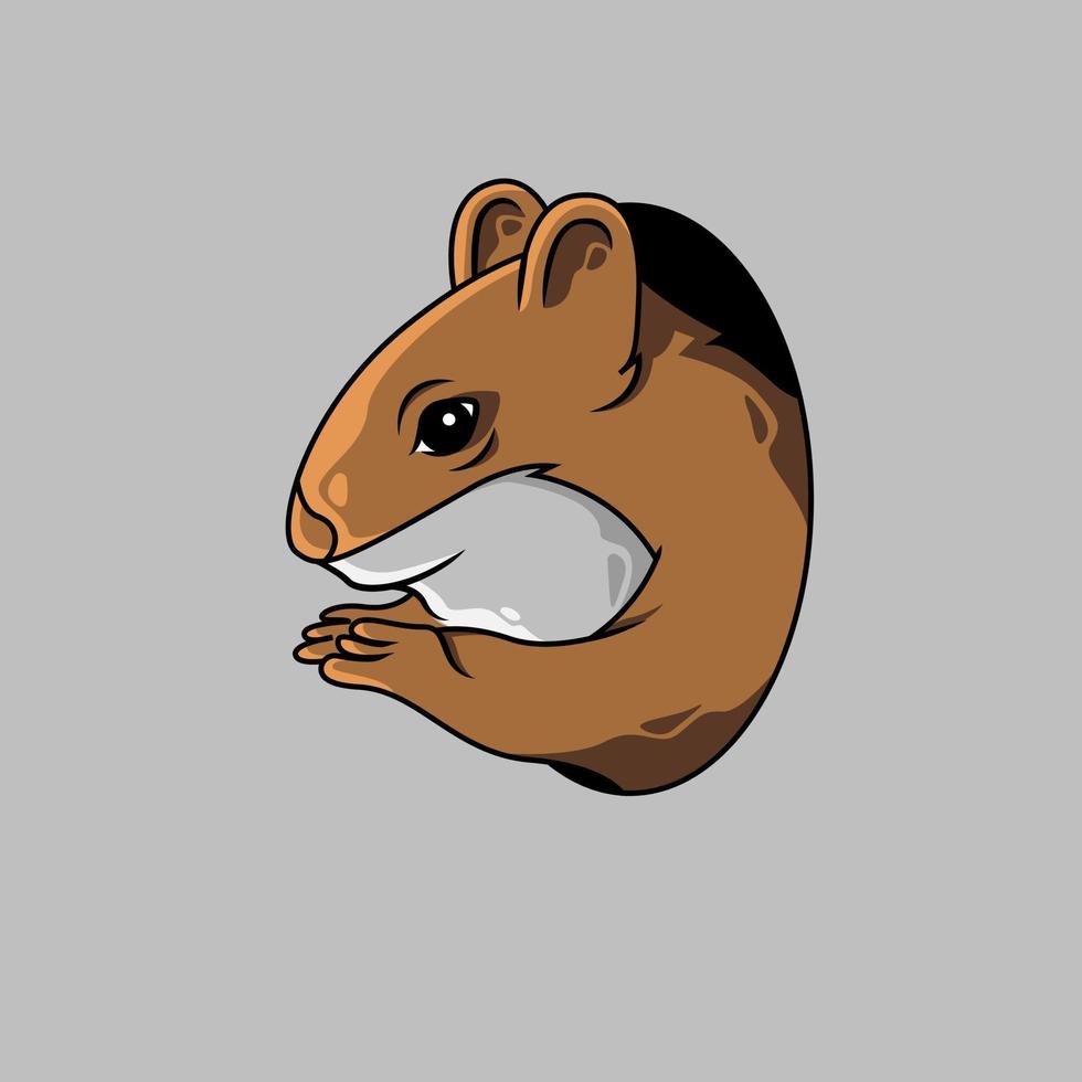 ilustración de ardilla marrón vector