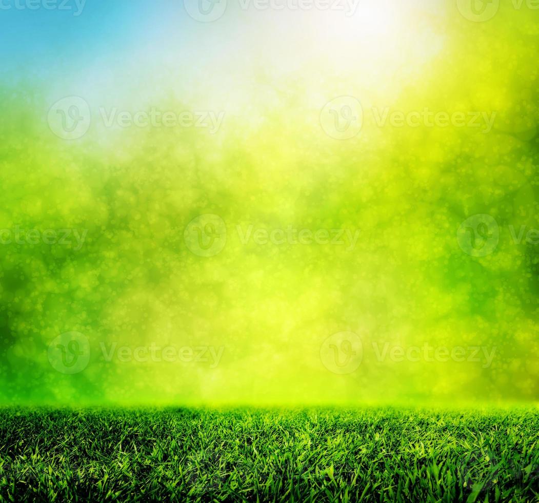 Green grass field photo
