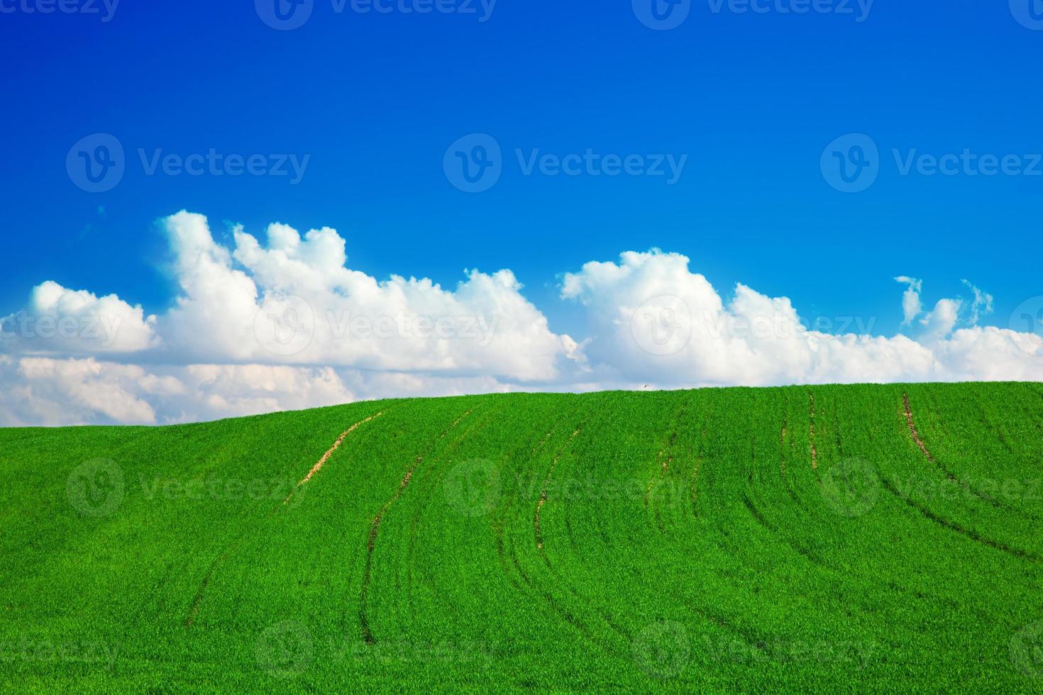 Green summer landscape with blue sky and puffy clouds photo