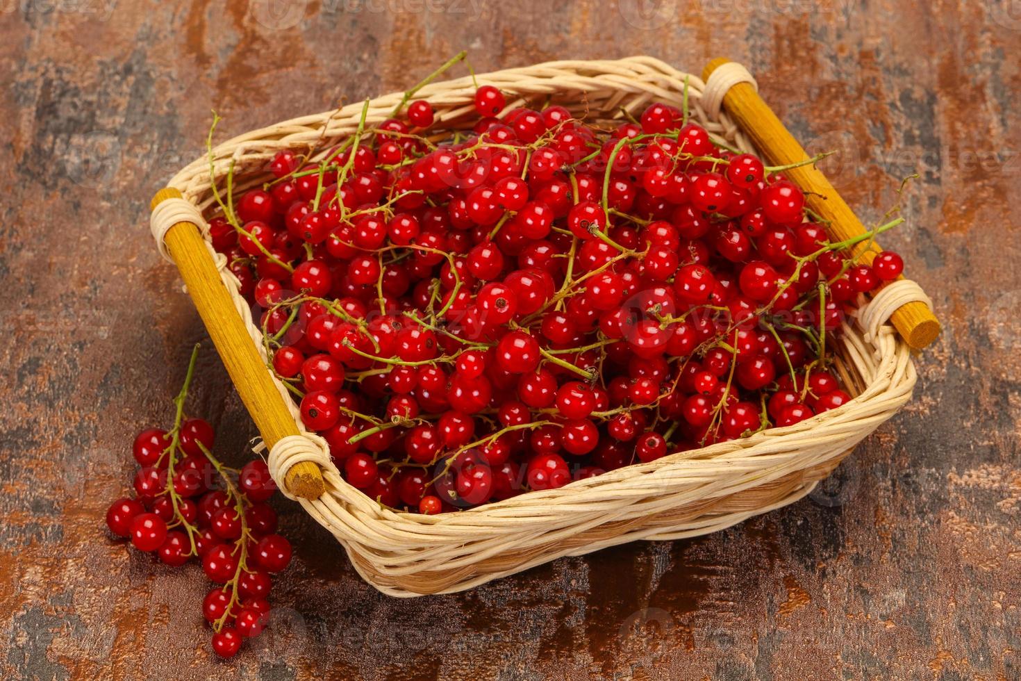 Sweet tasty fresh Red currant photo