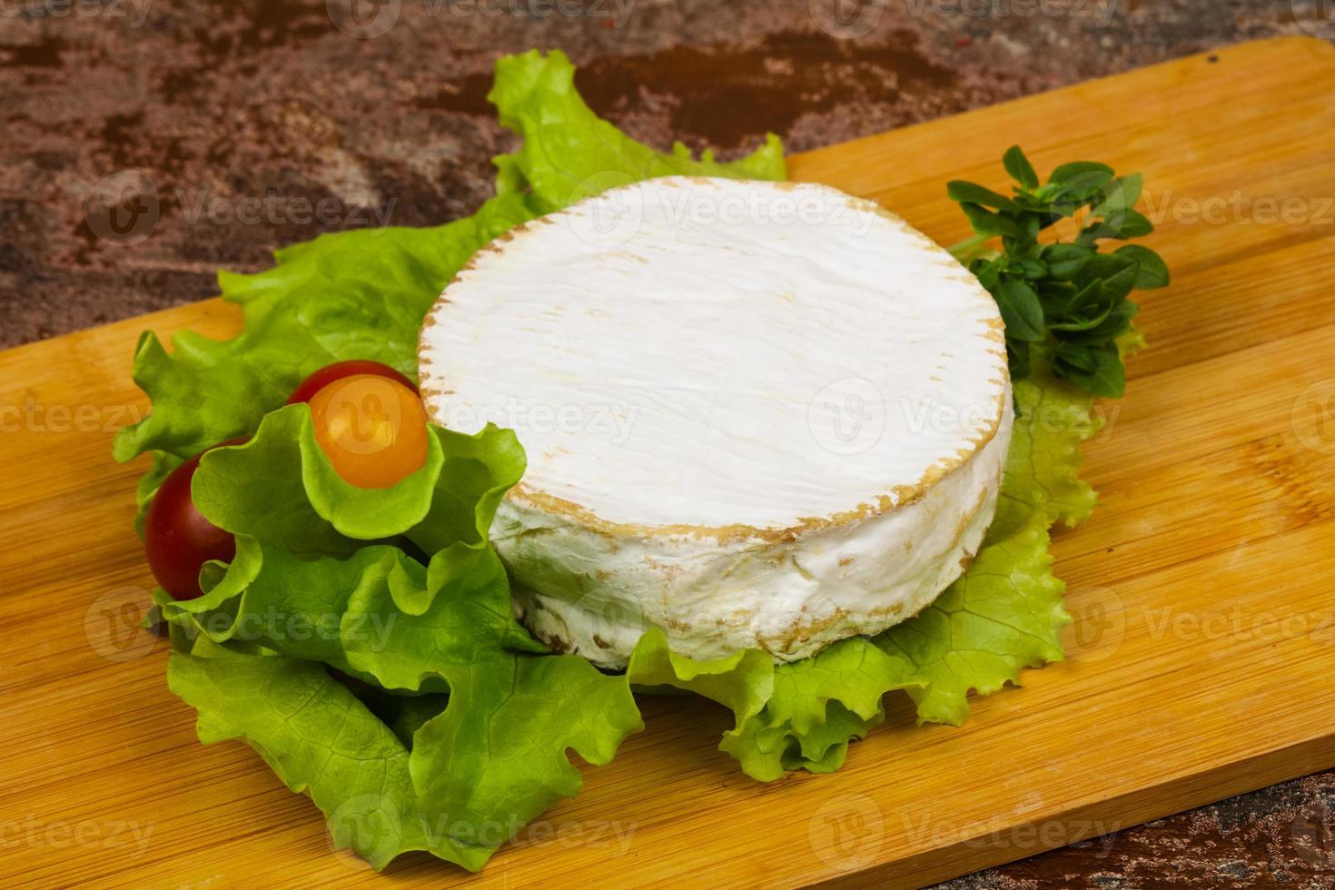 Delicous camembert cheese photo