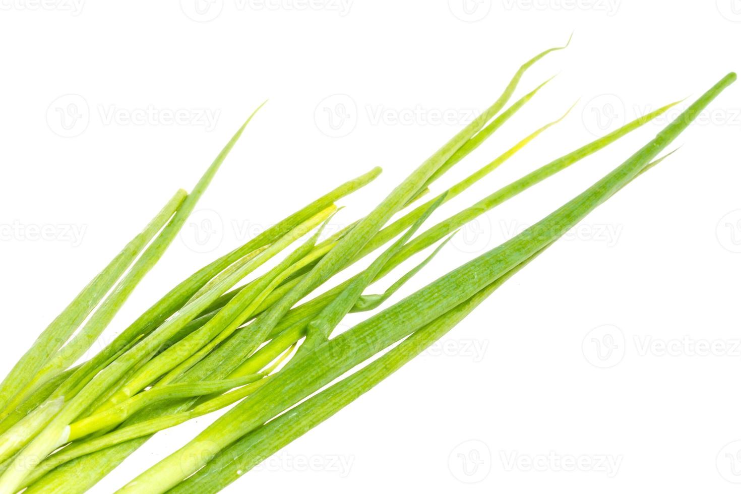 Green Onion on white background photo