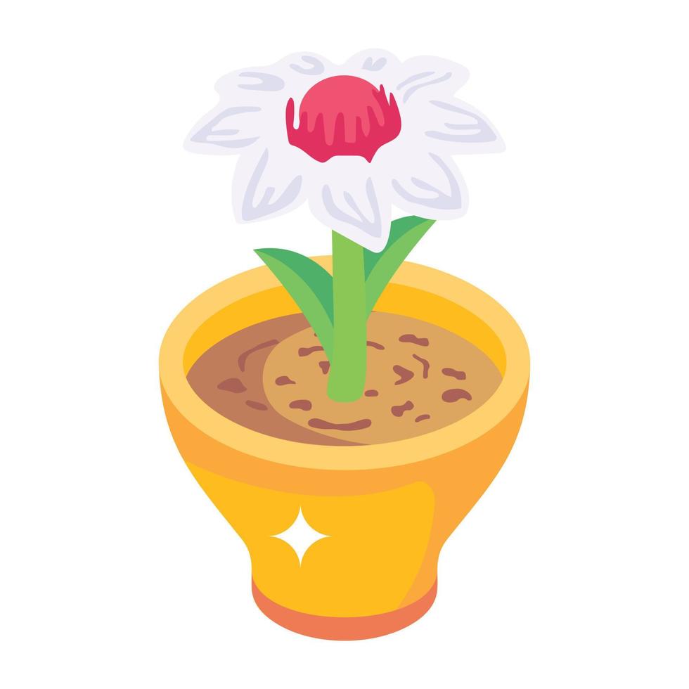 An isometric vector of a plant