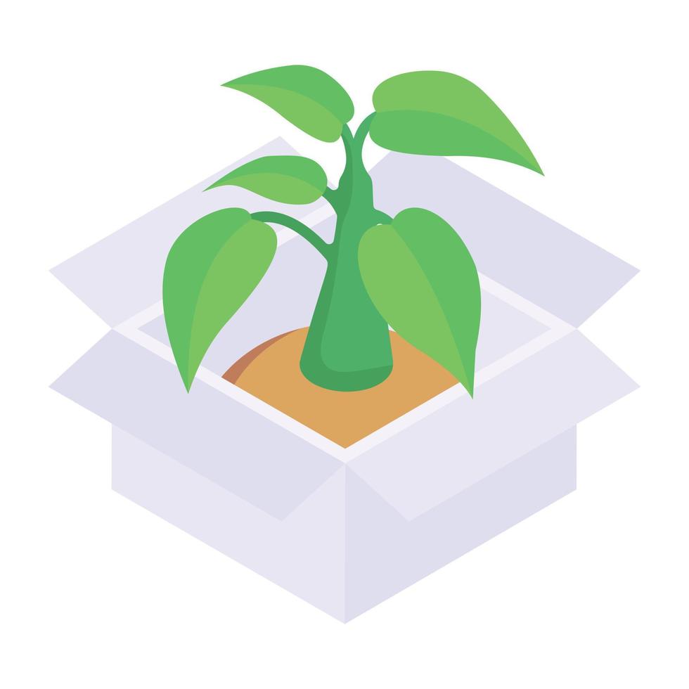 An isometric vector of a plant