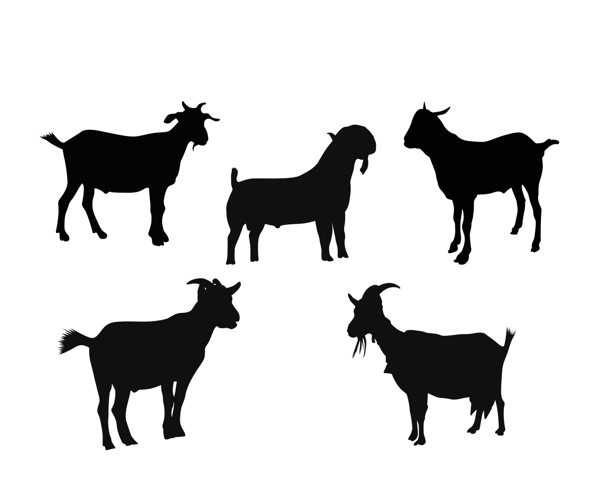 Black Sheep Vector Art, Icons, and Graphics for Free Download