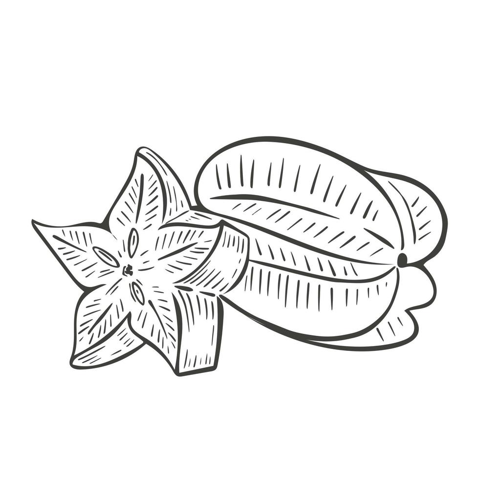 Whole and half carambola hand engraved vector