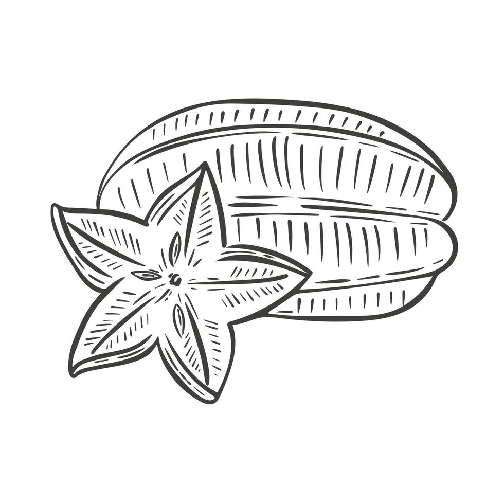 Carambola whole fruit and piece sketch vector