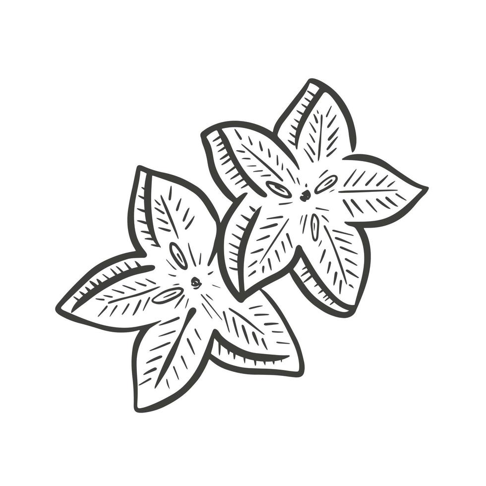 Star carambola slices vector illustration
