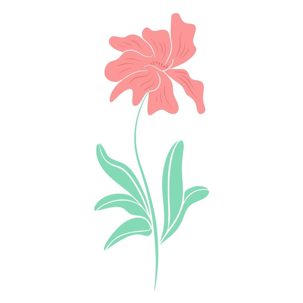 Delicate pink abstract flower vector illustration
