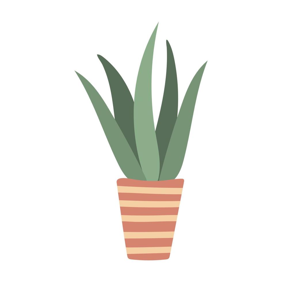 Aloe in pot isolated vector