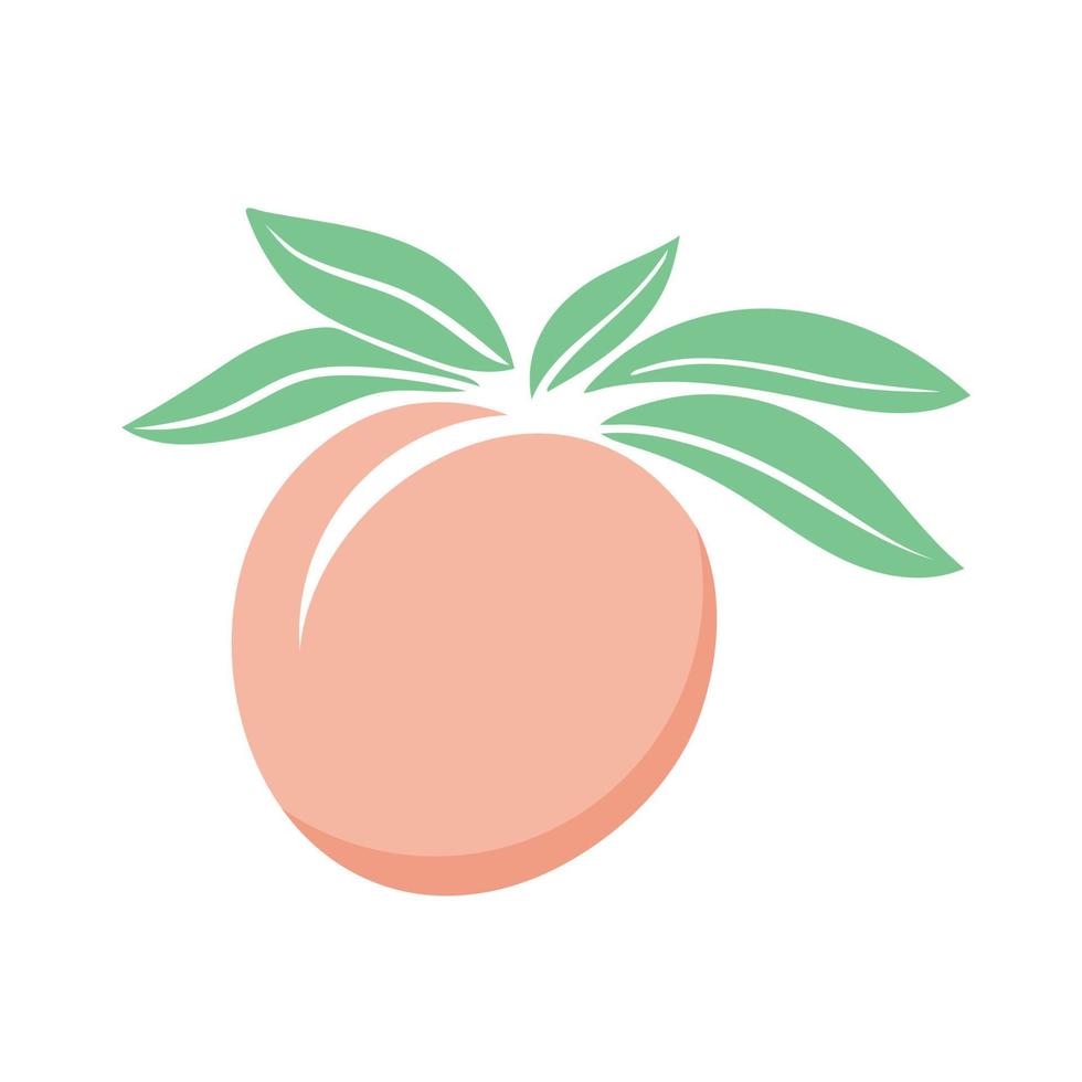 Colored peach silhouette with leaves vector