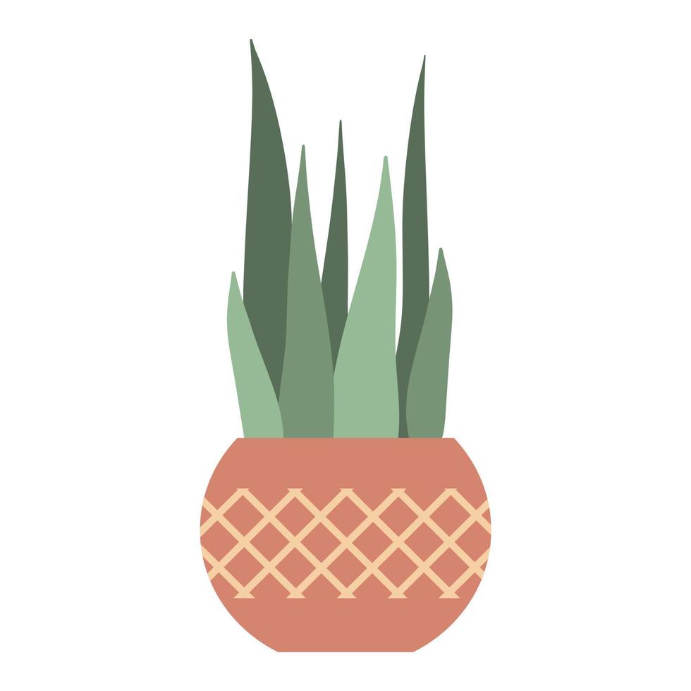 Houseplant in clay pot with elongated long leaves vector
