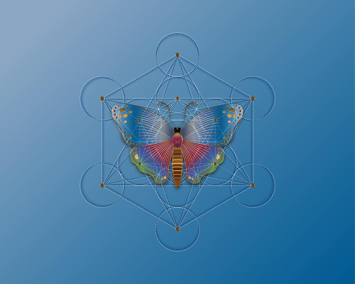 Butterfly over Metatrons Cube, Flower of Life. Sacred geometry. Mystic icon platonic solids Merkabah, abstract geometric colorful gradient design, crop circles sign. Graphic logo isolated on blue sky vector