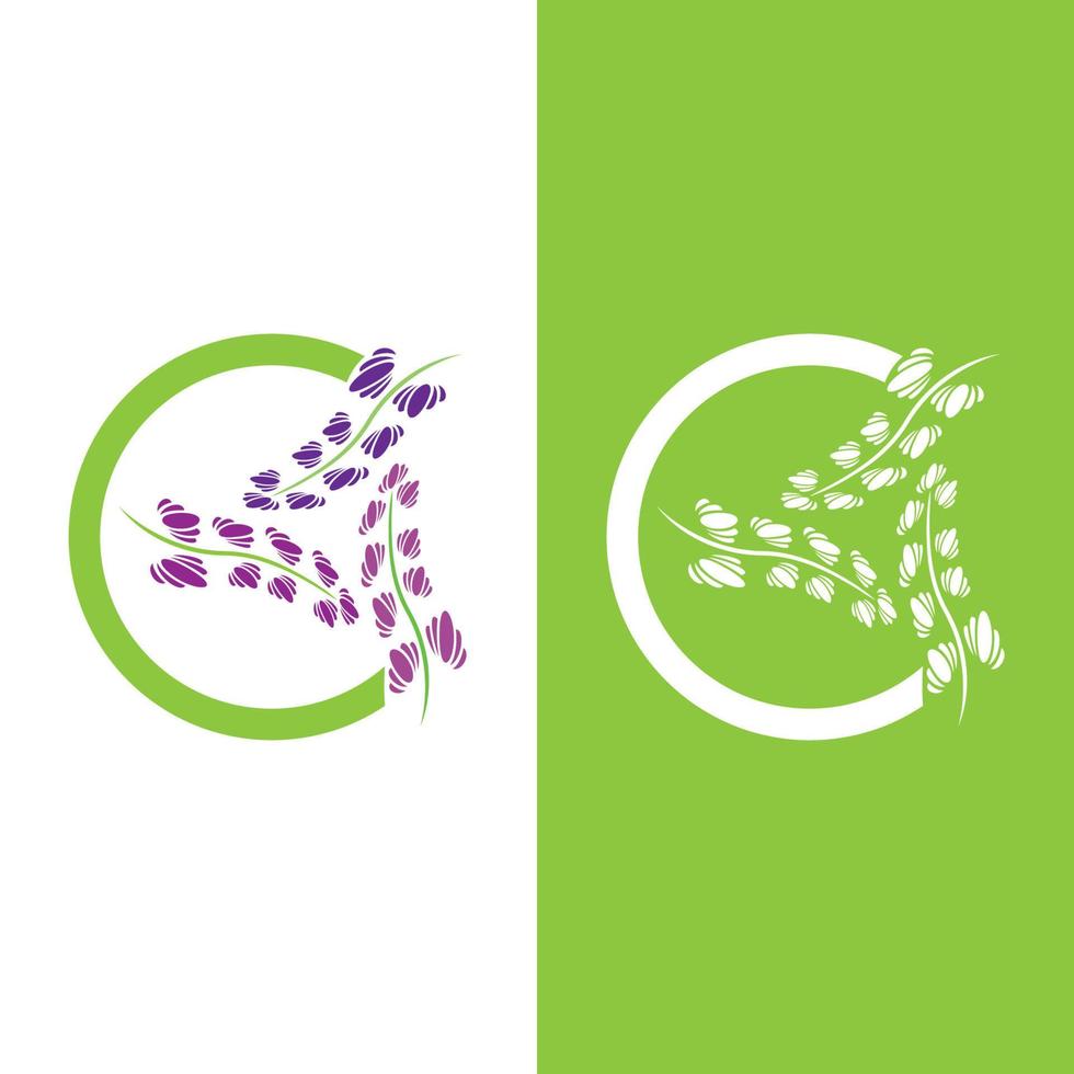 Fresh Lavender flower logo vector