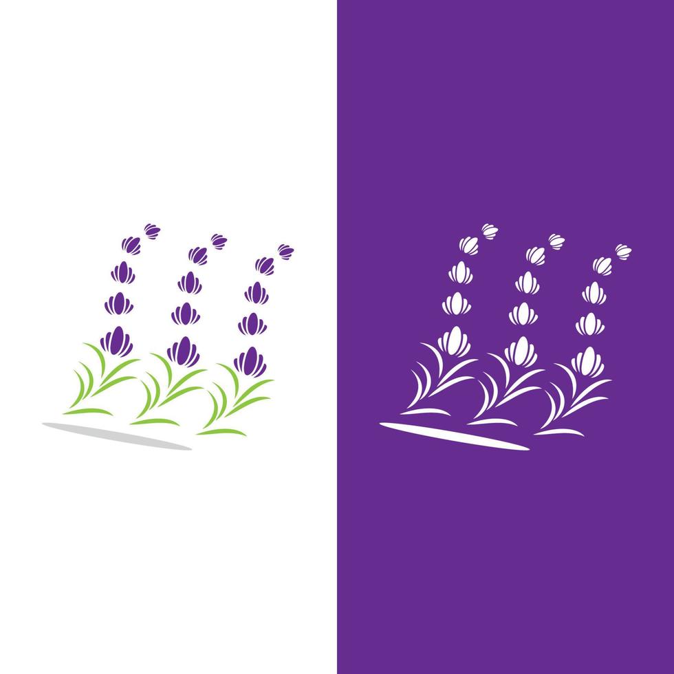 vector de logotipo de flor de lavanda fresca