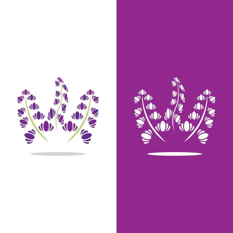 vector de logotipo de flor de lavanda fresca