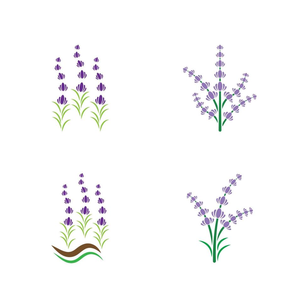 vector de logotipo de flor de lavanda fresca
