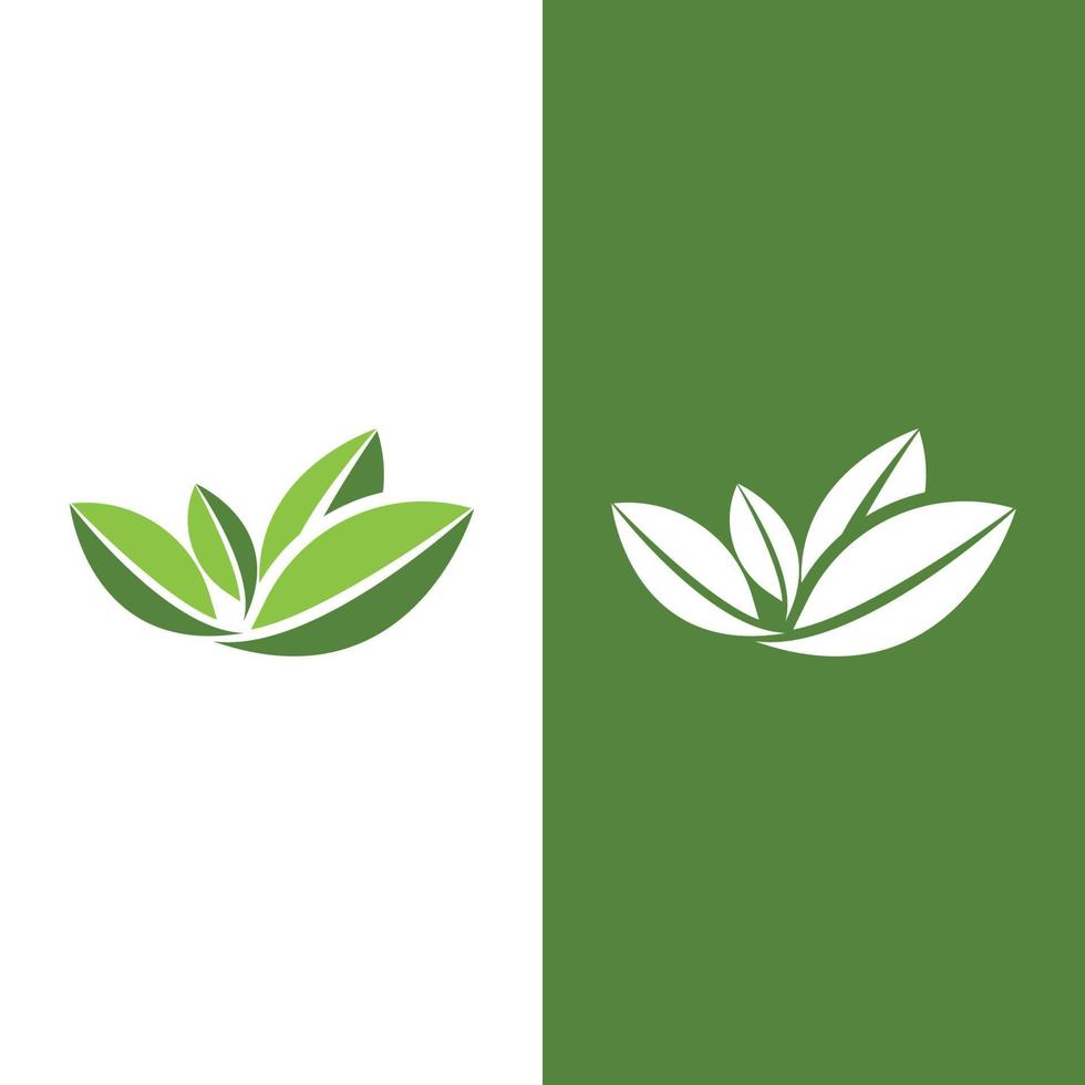 Logos of green Tree leaf ecology vector