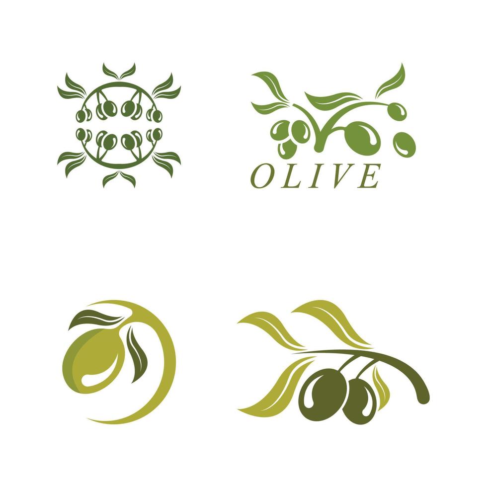 Diseño de ilustración de vector de icono de oliva