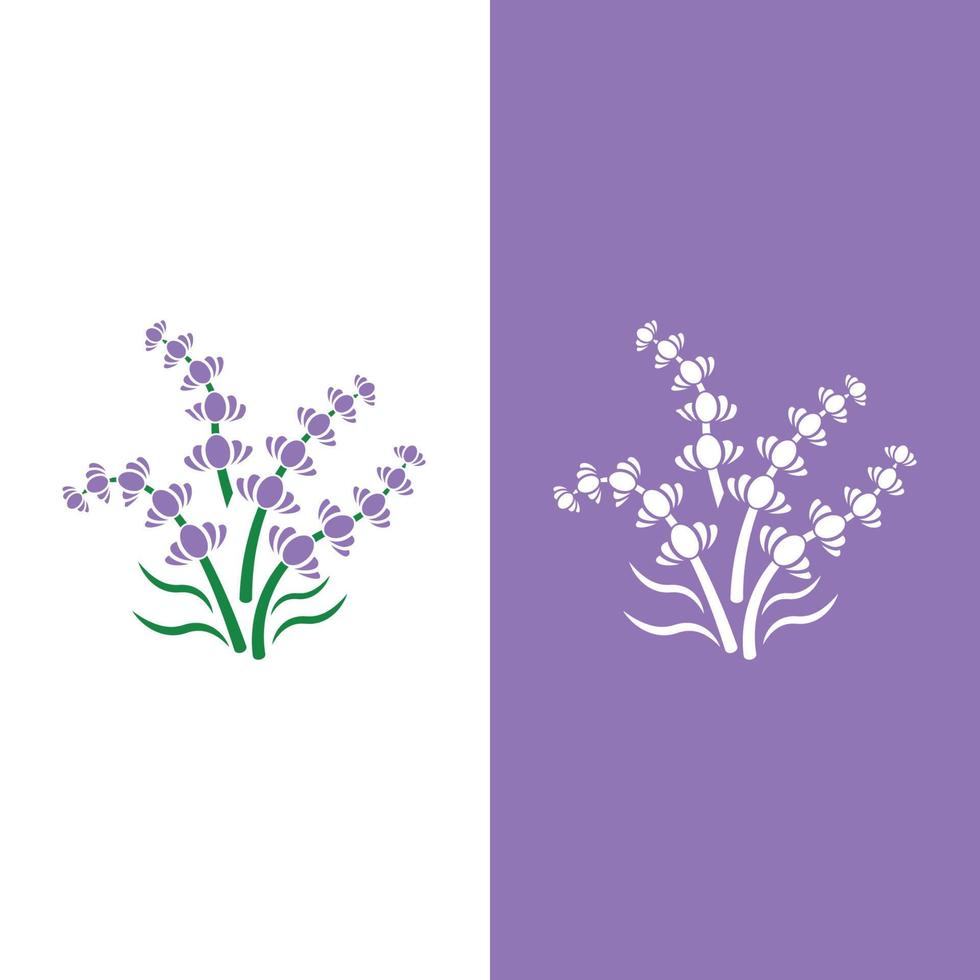 vector de logotipo de flor de lavanda fresca