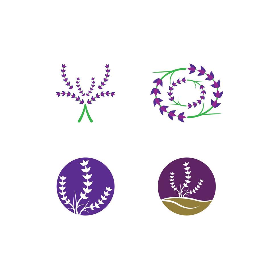 vector de logotipo de flor de lavanda fresca