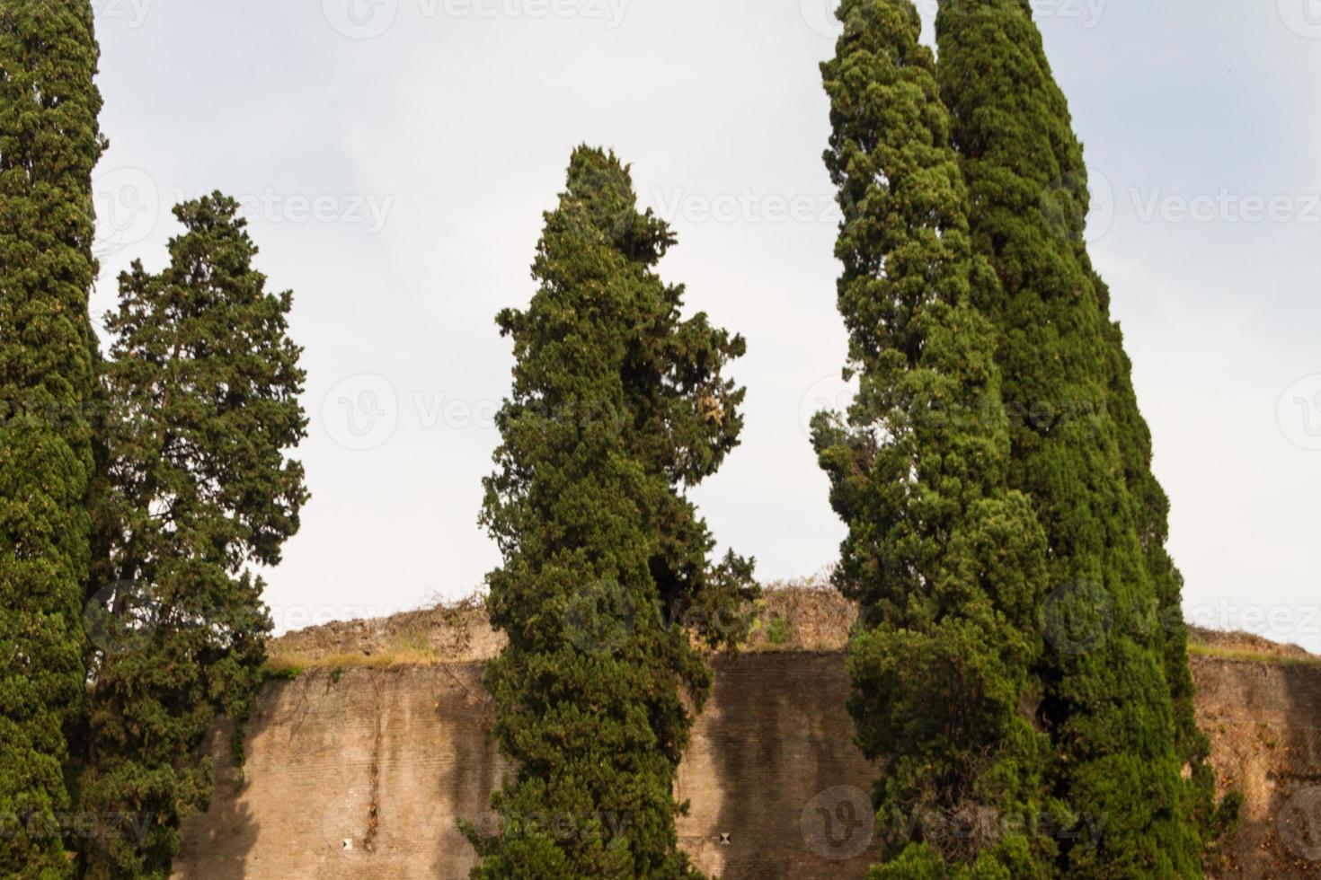 Rome, Italy. Typical architectural details of the old city photo
