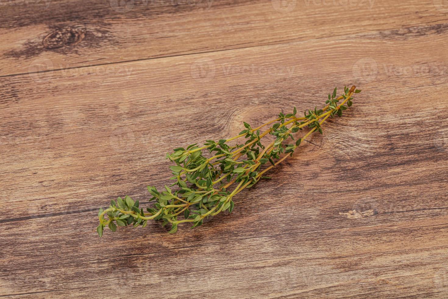 Aroma Fresh green thyme branch photo