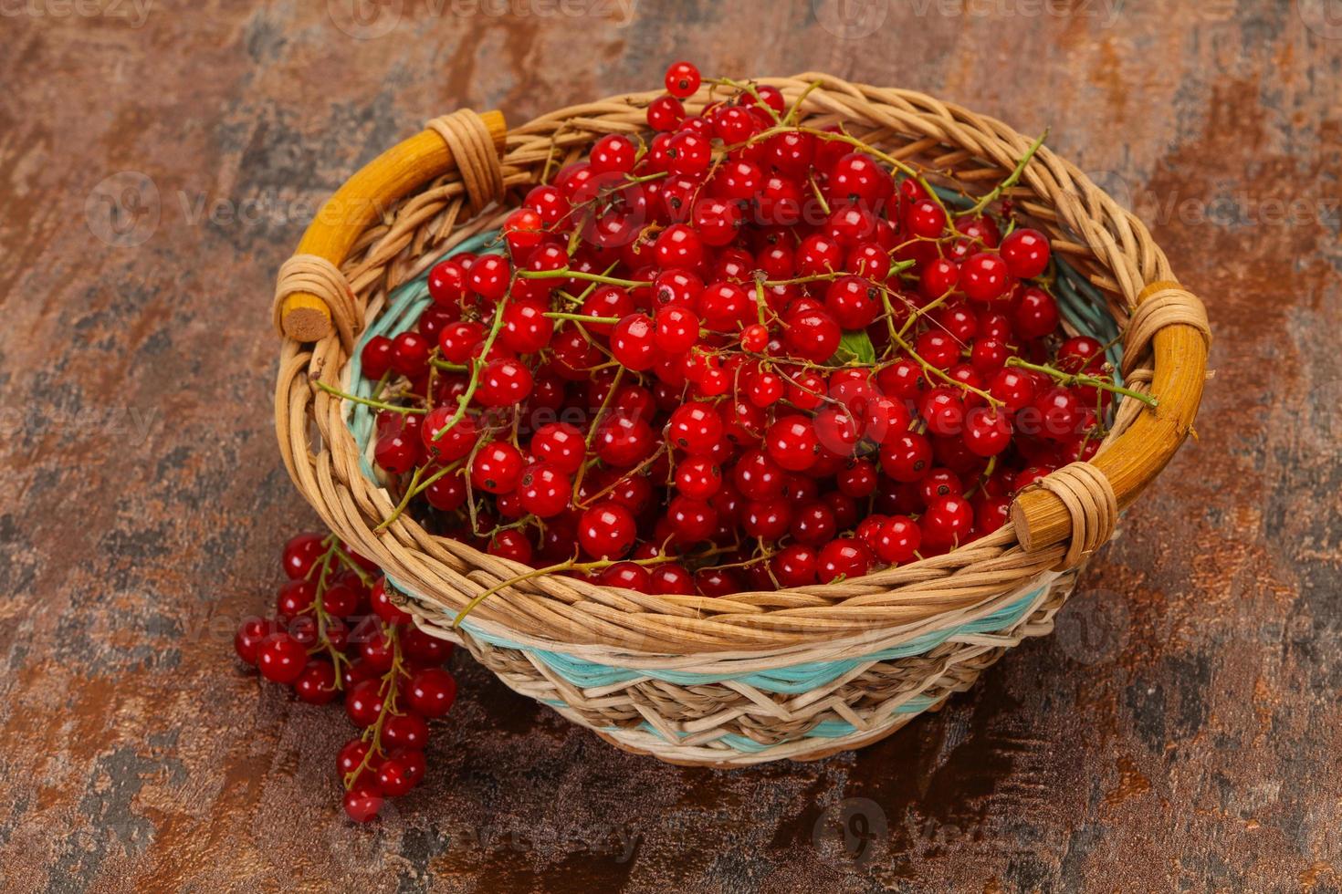 Sweet tasty fresh Red currant photo