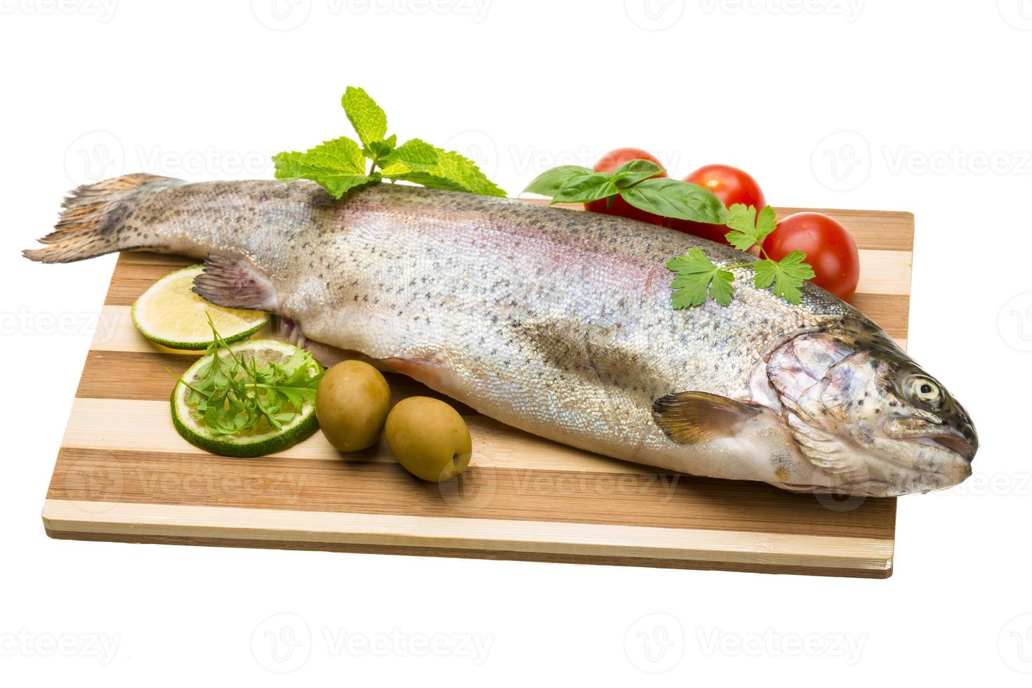 Fresh raw rainbow trout photo