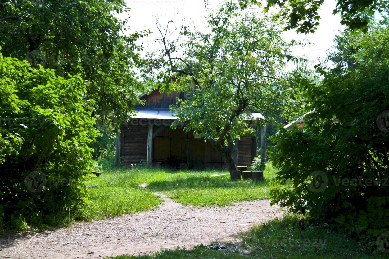 Country Estate at Yasnaya Polyana, home of Leo Tolstoy photo