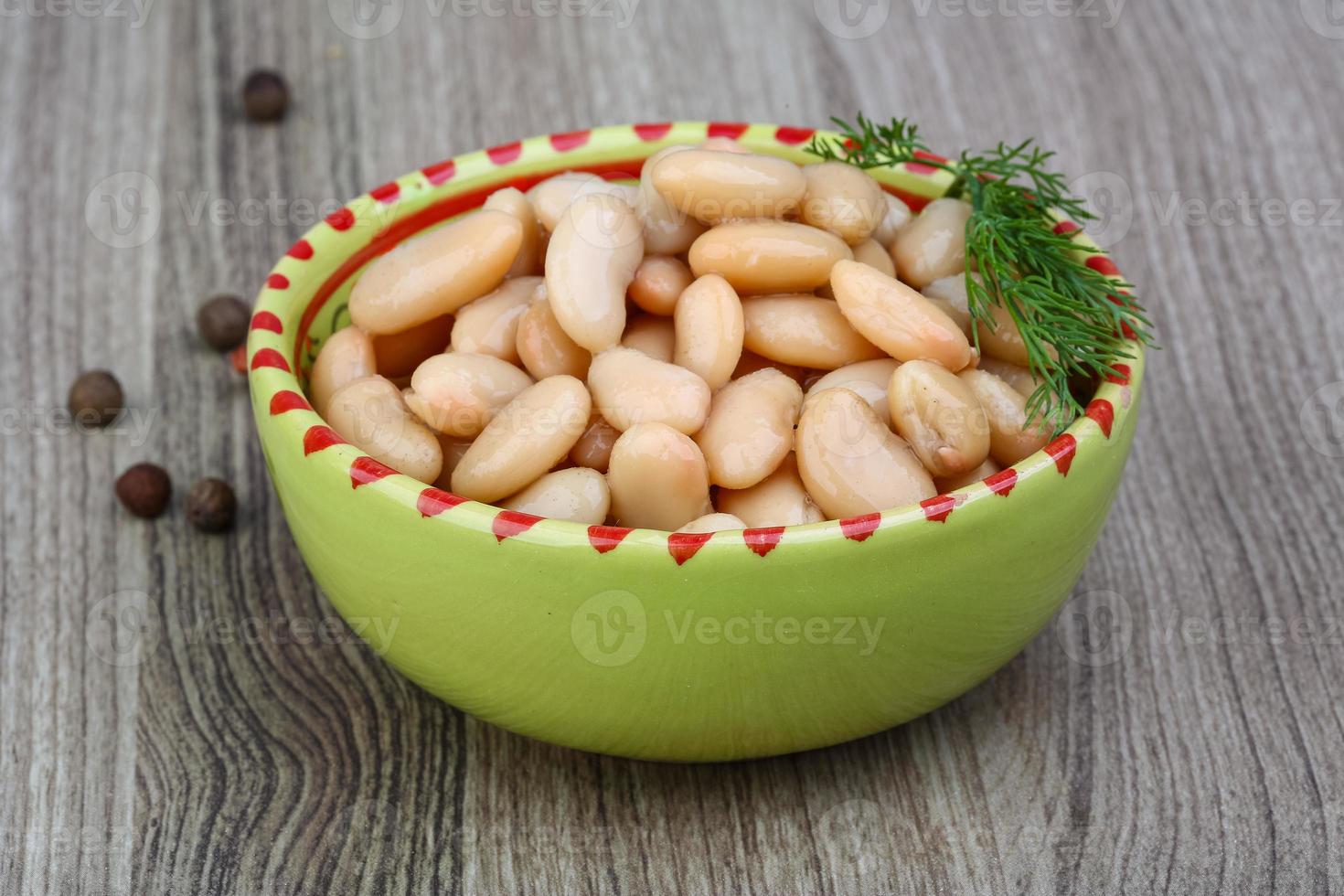 White canned beans photo