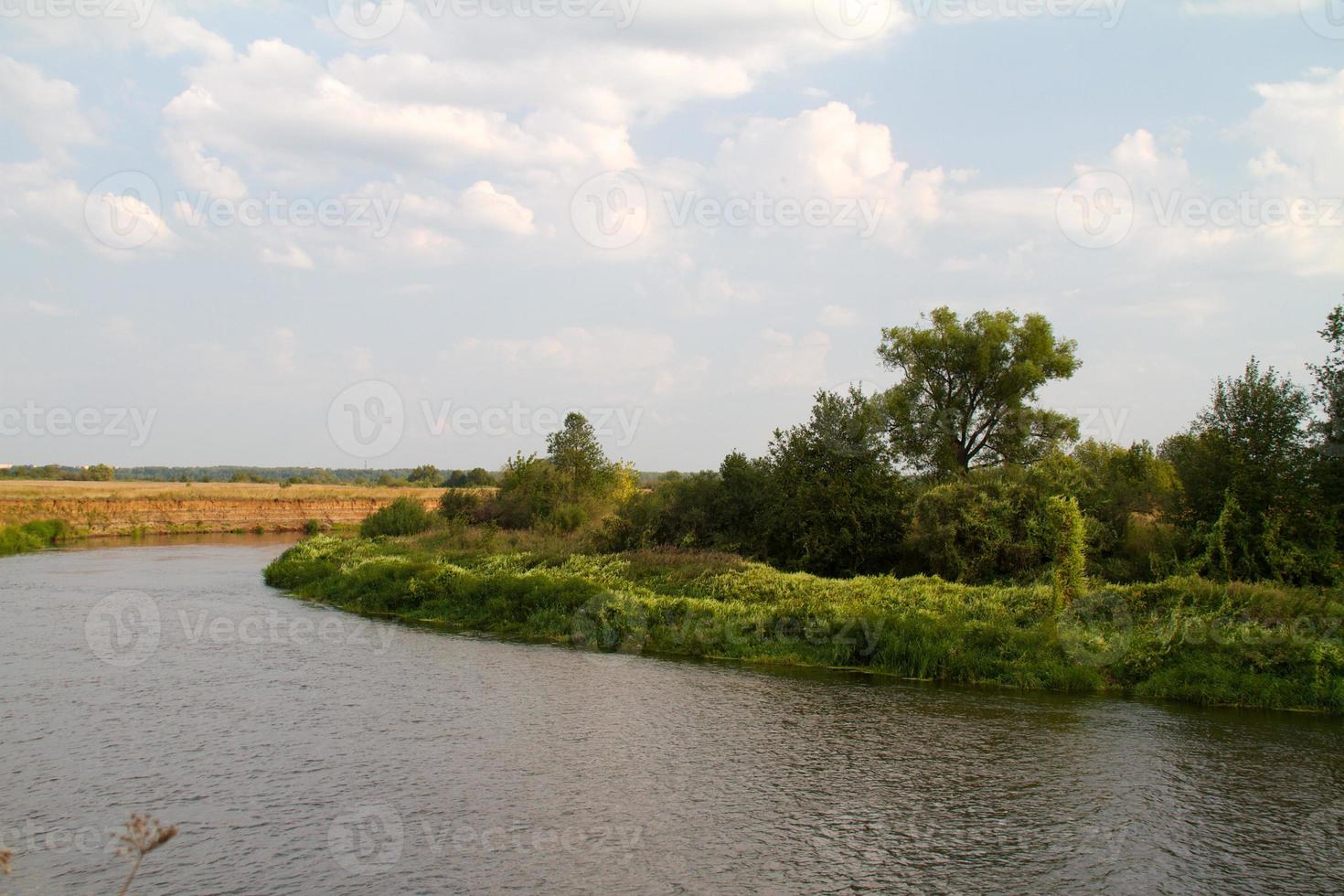 vista del hermoso río y bosque foto